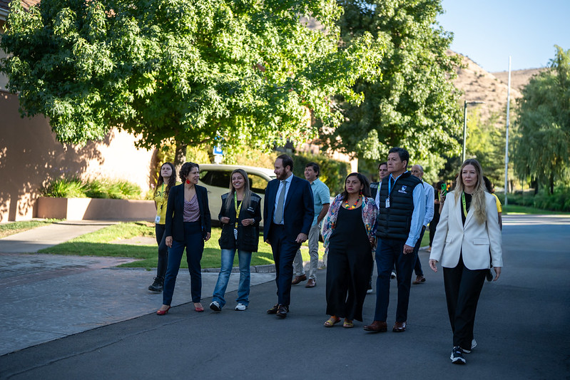 Día del Reciclador de Base