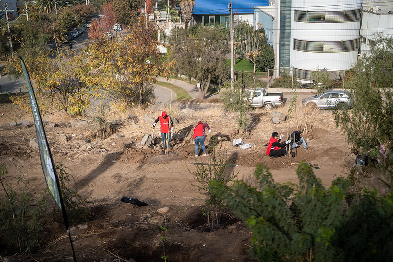 Reforestación El Rosal