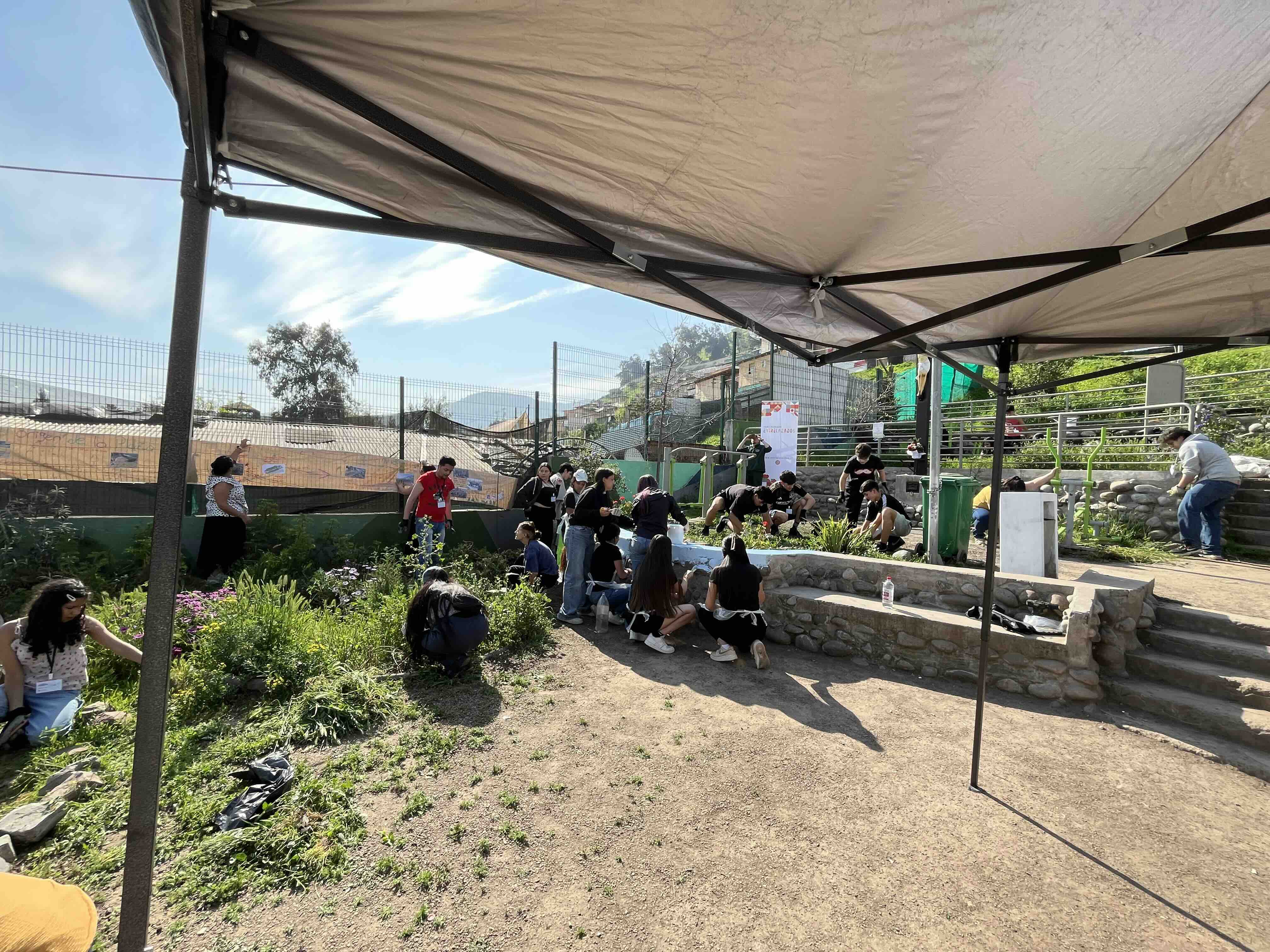 Voluntariado Juvenil