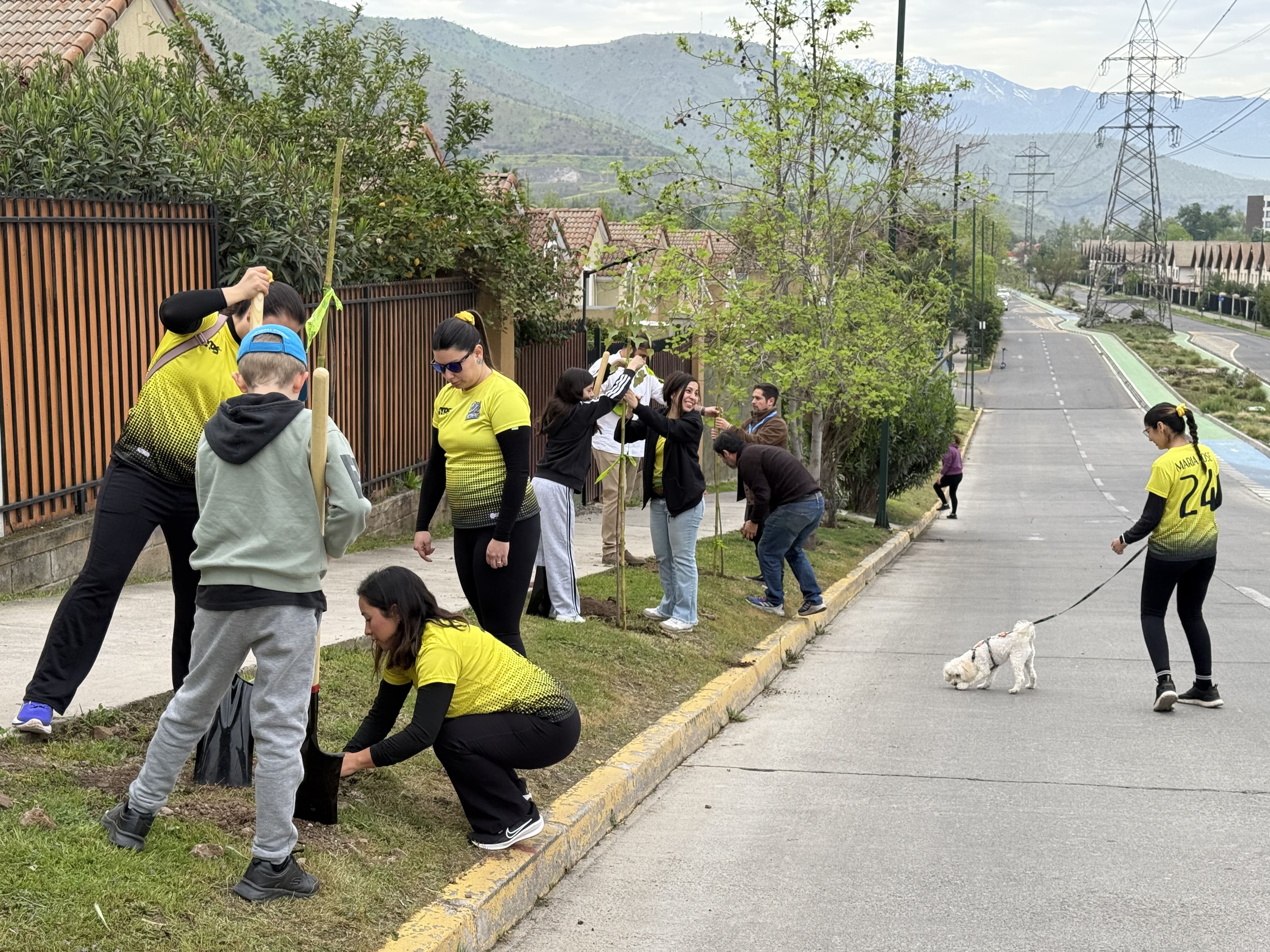 PLantación Urbana