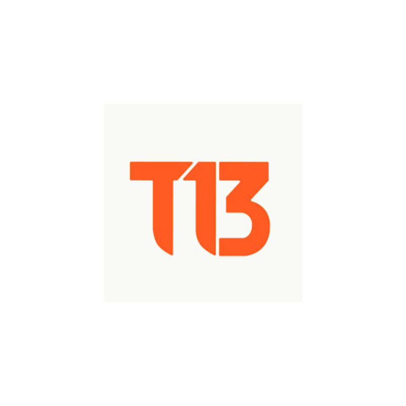 T13