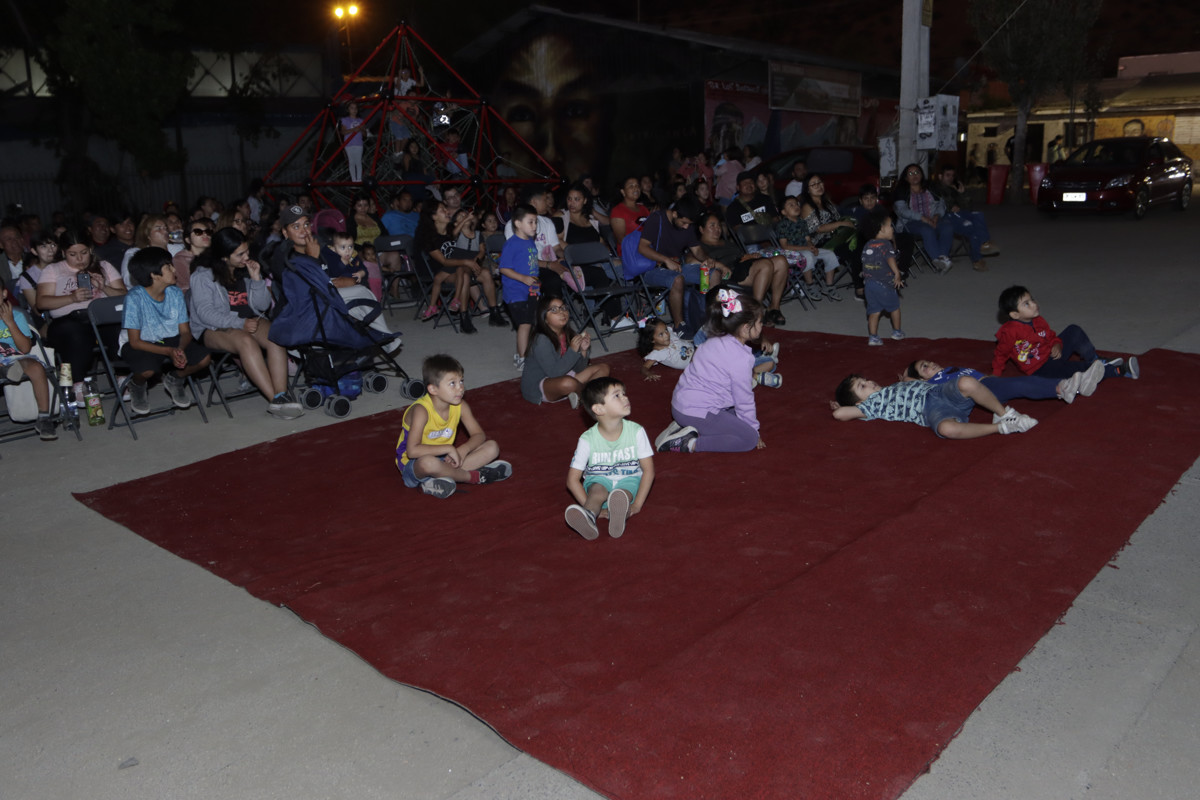 Cine bajo las estrellas