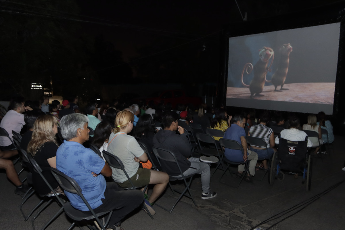 Cine bajo las estrellas