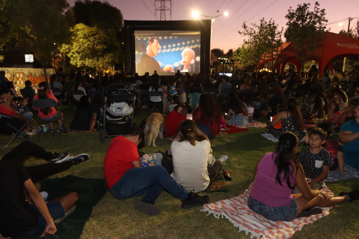 Cine bajo las estrellas