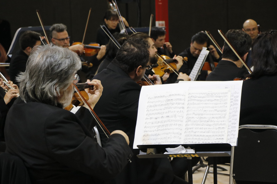 Orquesta de Cámara de Chile