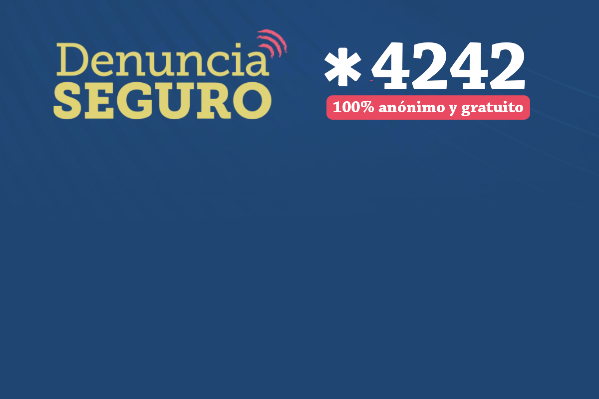 Denuncia Seguro 2023