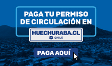 Permiso Circulación 2025