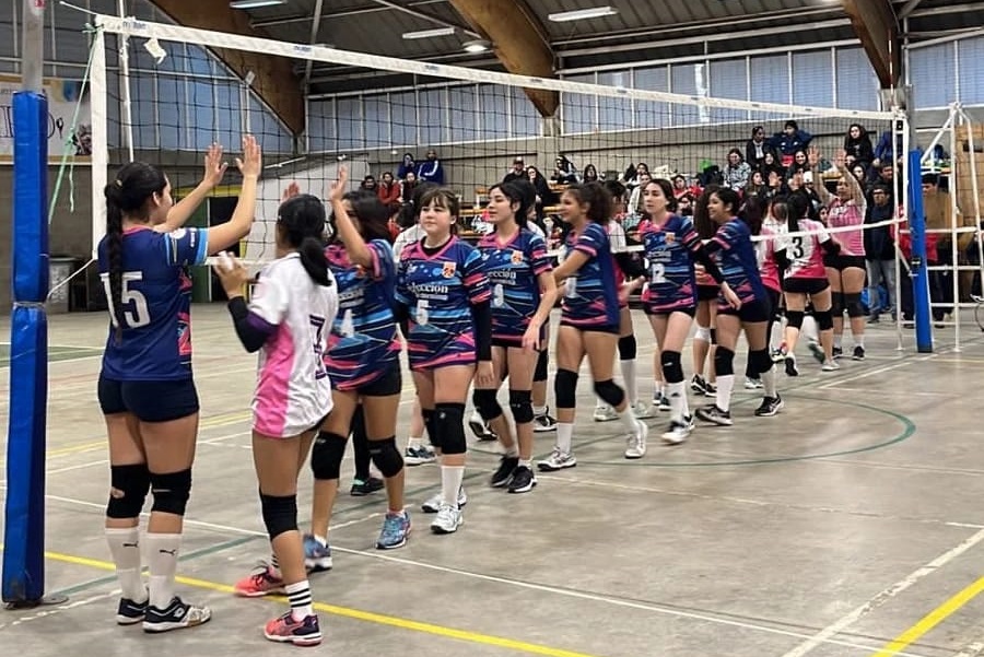 Torneo vóleibol