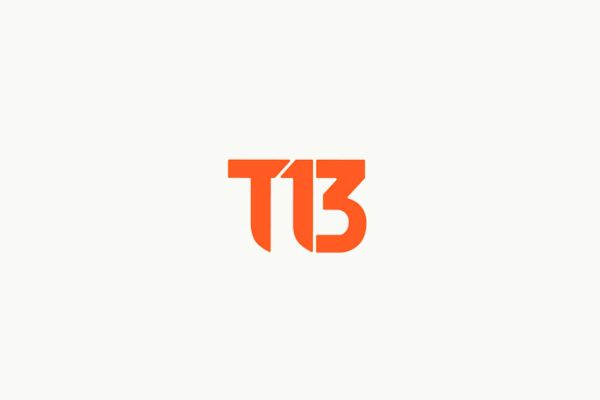 T13