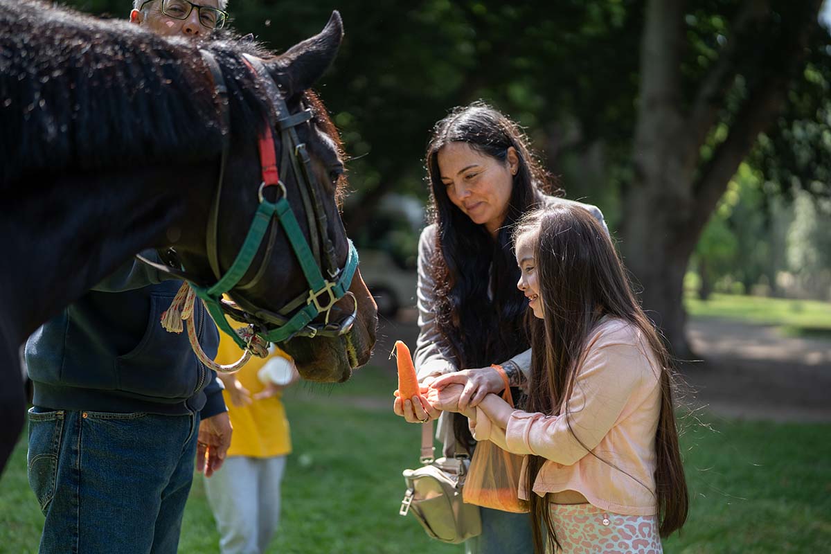 CIERRE TALLER HIPOTERAPIA